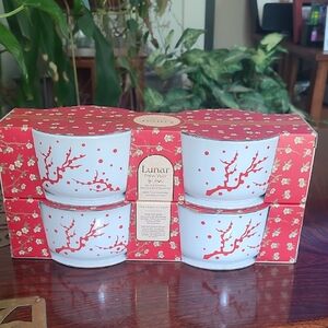 🐲Lunar New Year Ramekins